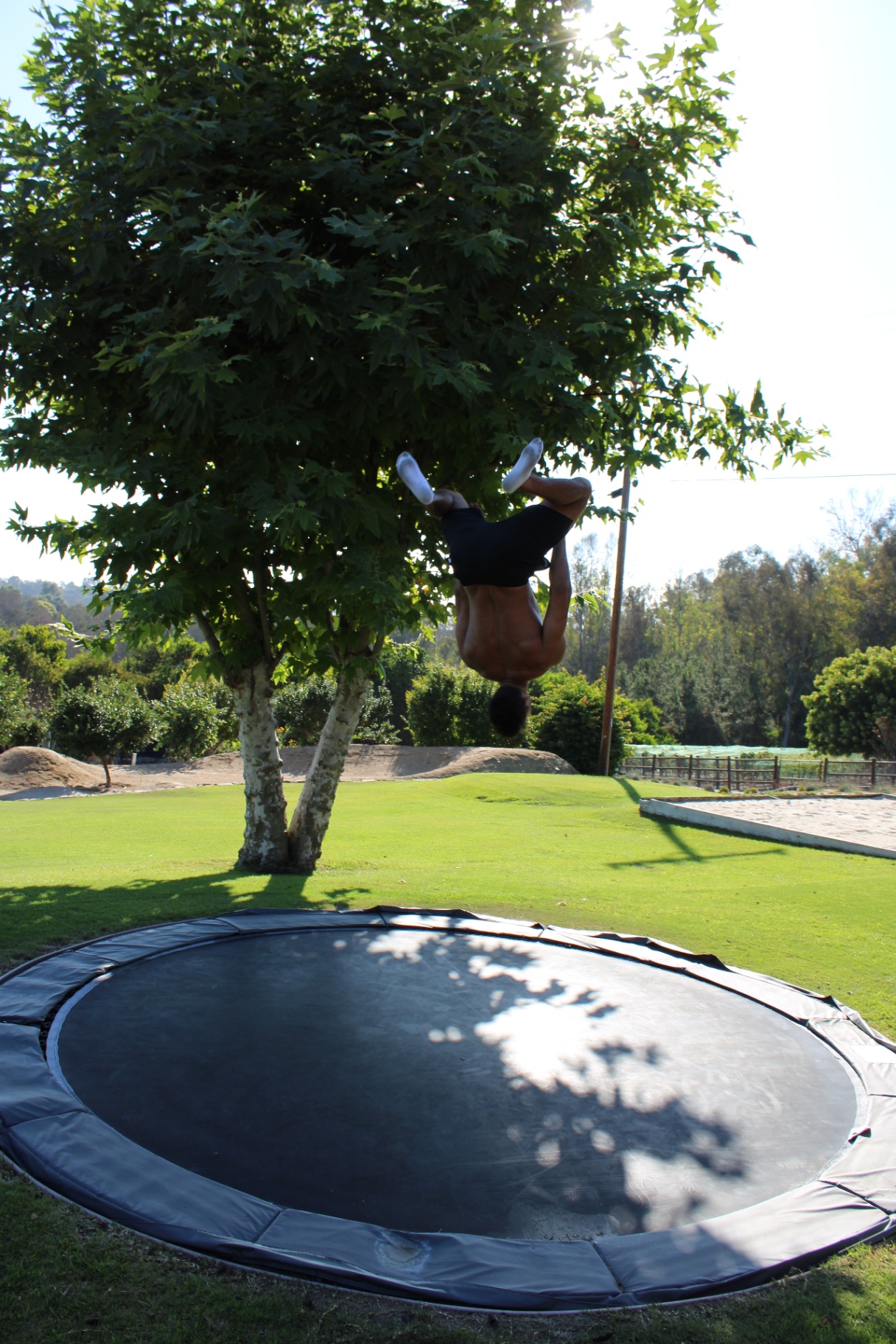 Trampoline flip action shot
