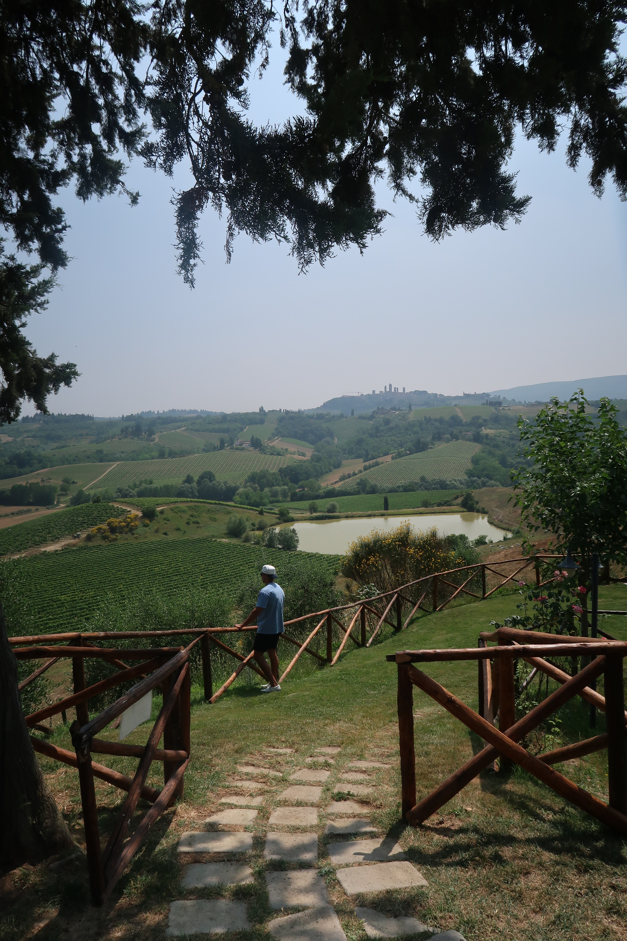 Tuscany vineyard at golden hour